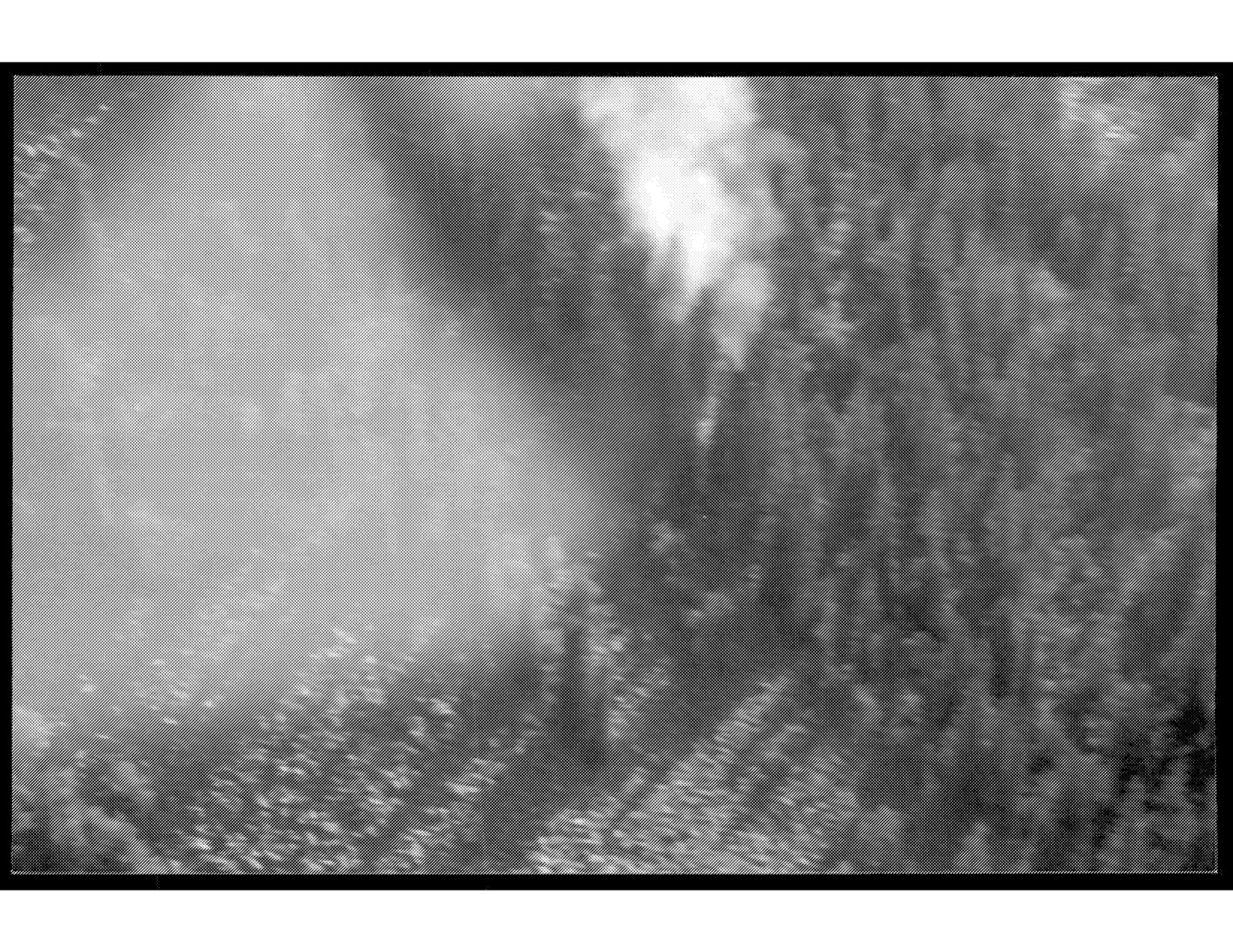 Black and white crash-scene photograph showing a distinct, narrow smoke column rising straight up through the trees.